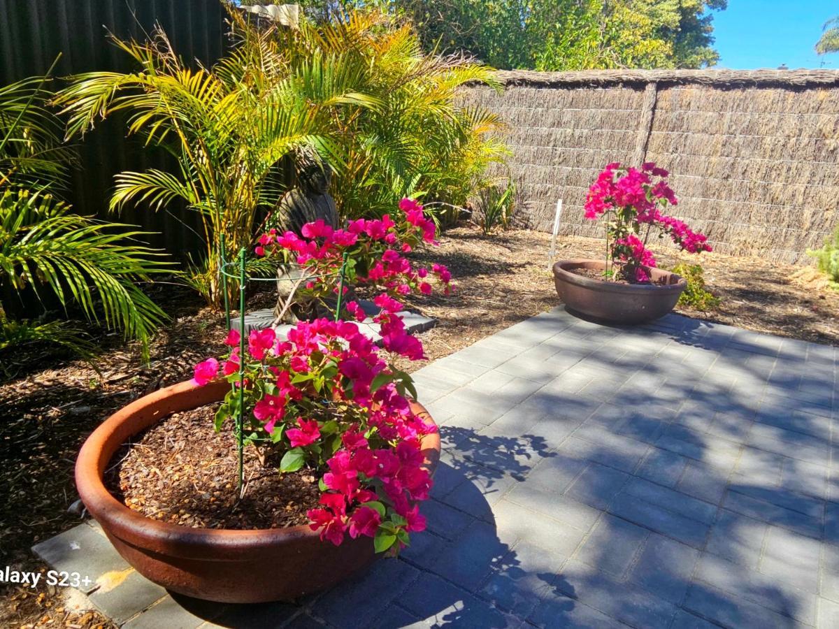 Tranquil Gumnut Cottage - Close To Airport Περθ Εξωτερικό φωτογραφία